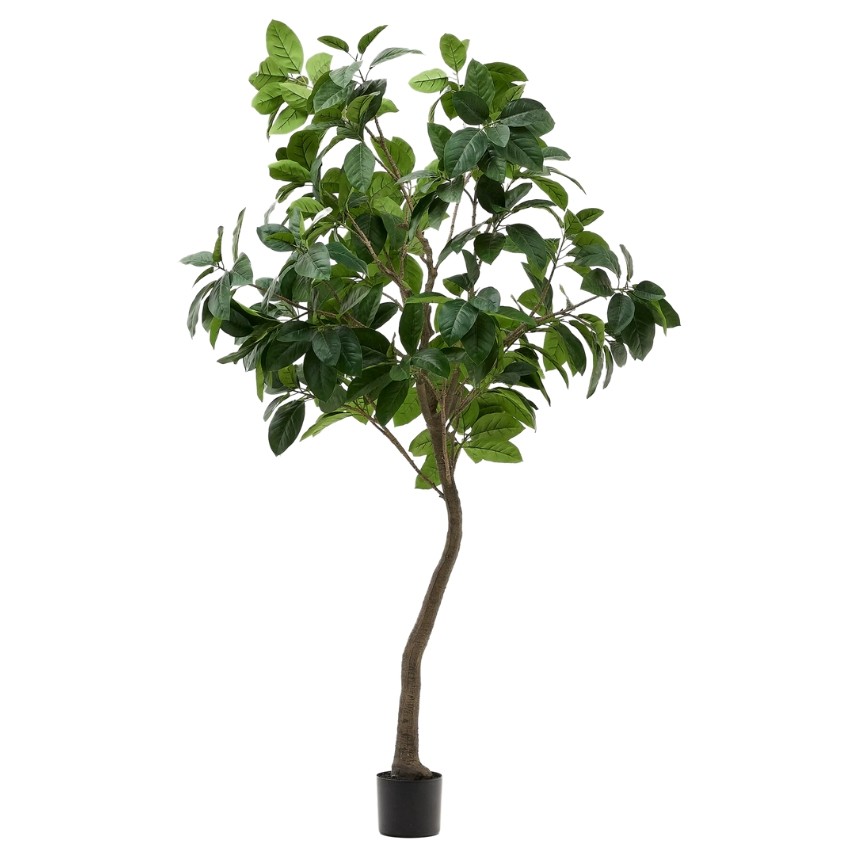 Umělá květina Kave Home Ficus 210 cm