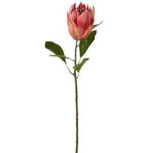 Umělá květina J-line Proteas 67 cm