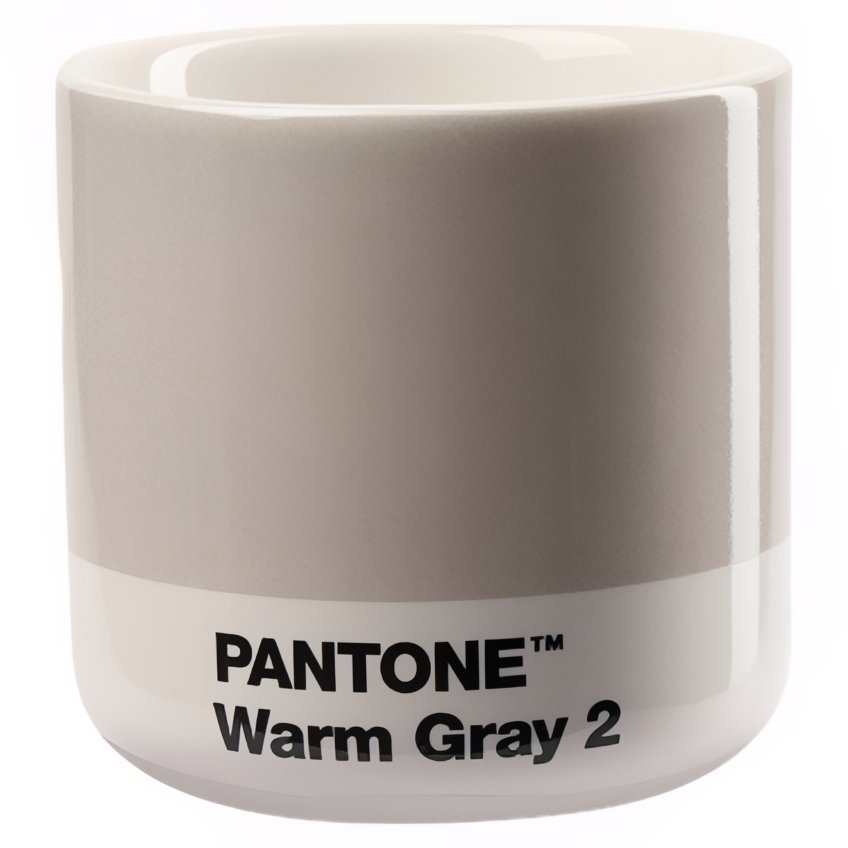 Světle šedý porcelánový hrnek Pantone Warm Gray 2 100 ml